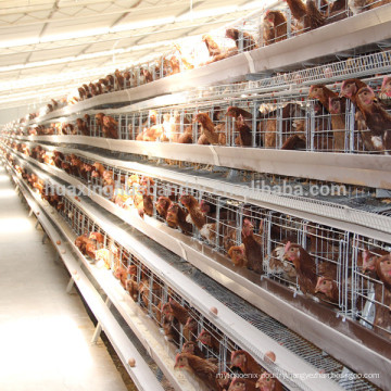 good quality best selling new design poultry farm design